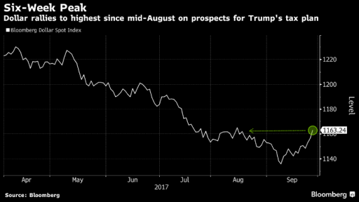 USD rally is back