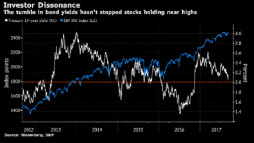 investor dissonance