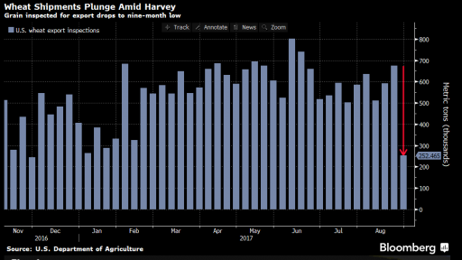 wheat exports chart