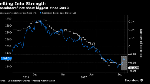 usd short positions chart