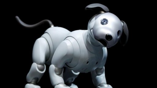 Sony's Aibo (2018)