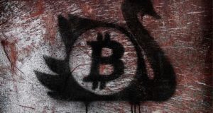 Bitcoin is the new black swan