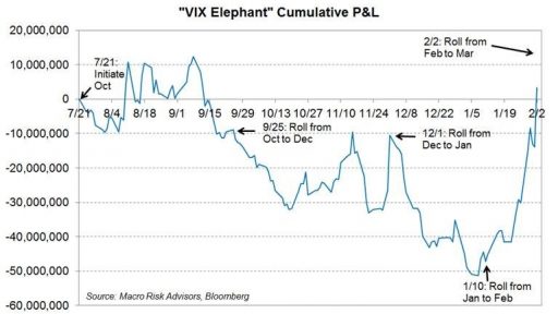 VIX elephant