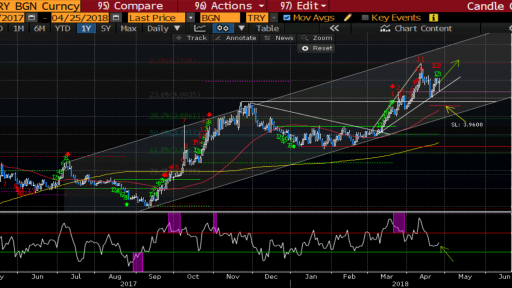 Varchev Finance - USD/TRY Daily expectations