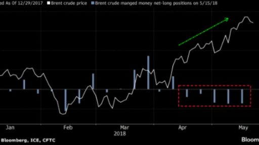 hedge funds cut long oil exposures