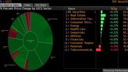 SP500 Pie Chart, Bloomberg Terminal