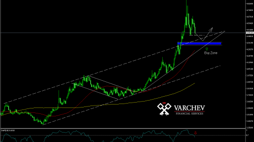 Varchev Finance USD/TRY Bullish expectations