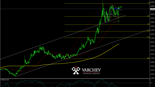 Varchev Finance - USD/TRY expectations