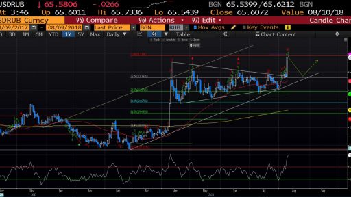 Varchev Finance - USD/RUB expectations