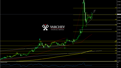 Varchev Finance - USD TRY expectations