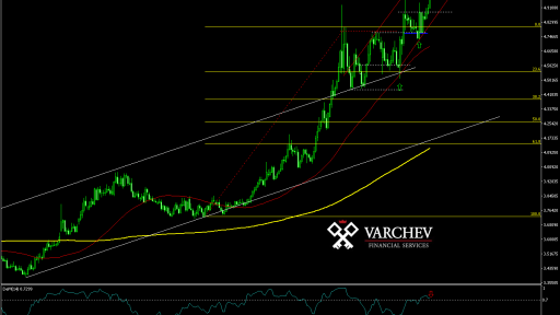 Varchev Finance - USD/TRY expectations