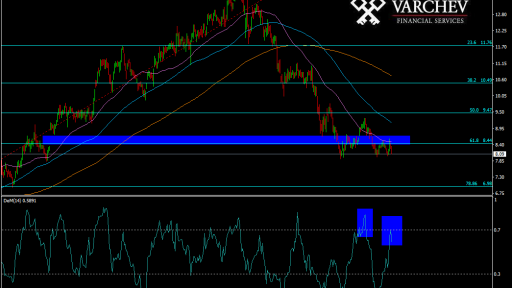 Varchev CBK short