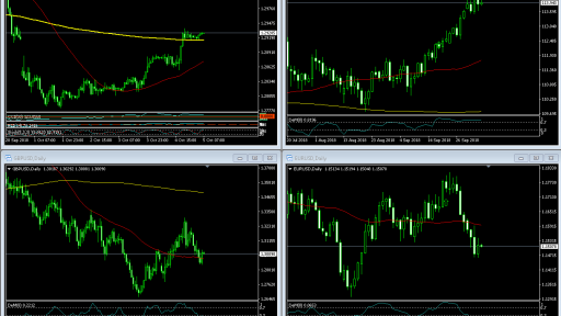 Market Overview