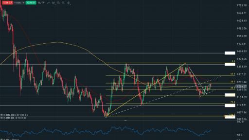 Gold Daily Chart