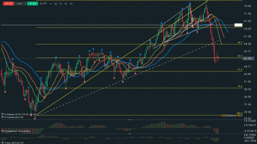 Oil WTI Daily Chart